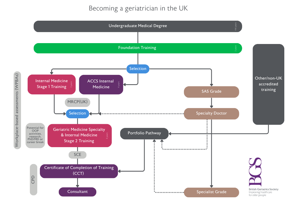 Becoming a geriatrician