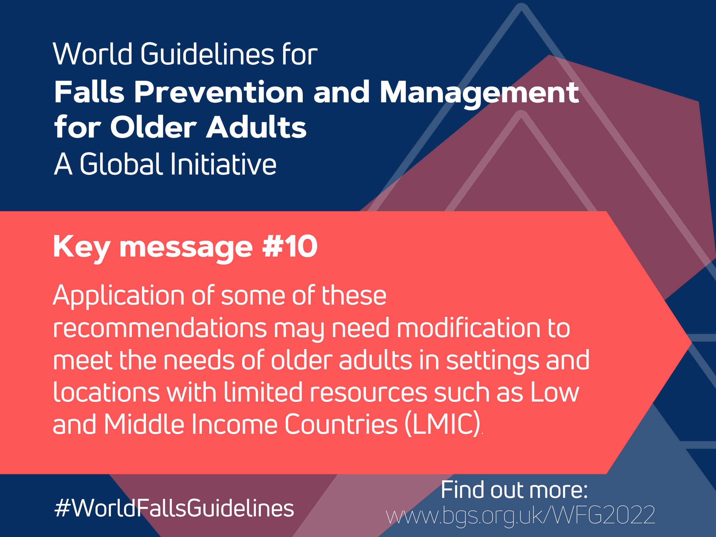 World Guidelines for Falls Prevention and Management for Older Adults: A Global Initiative