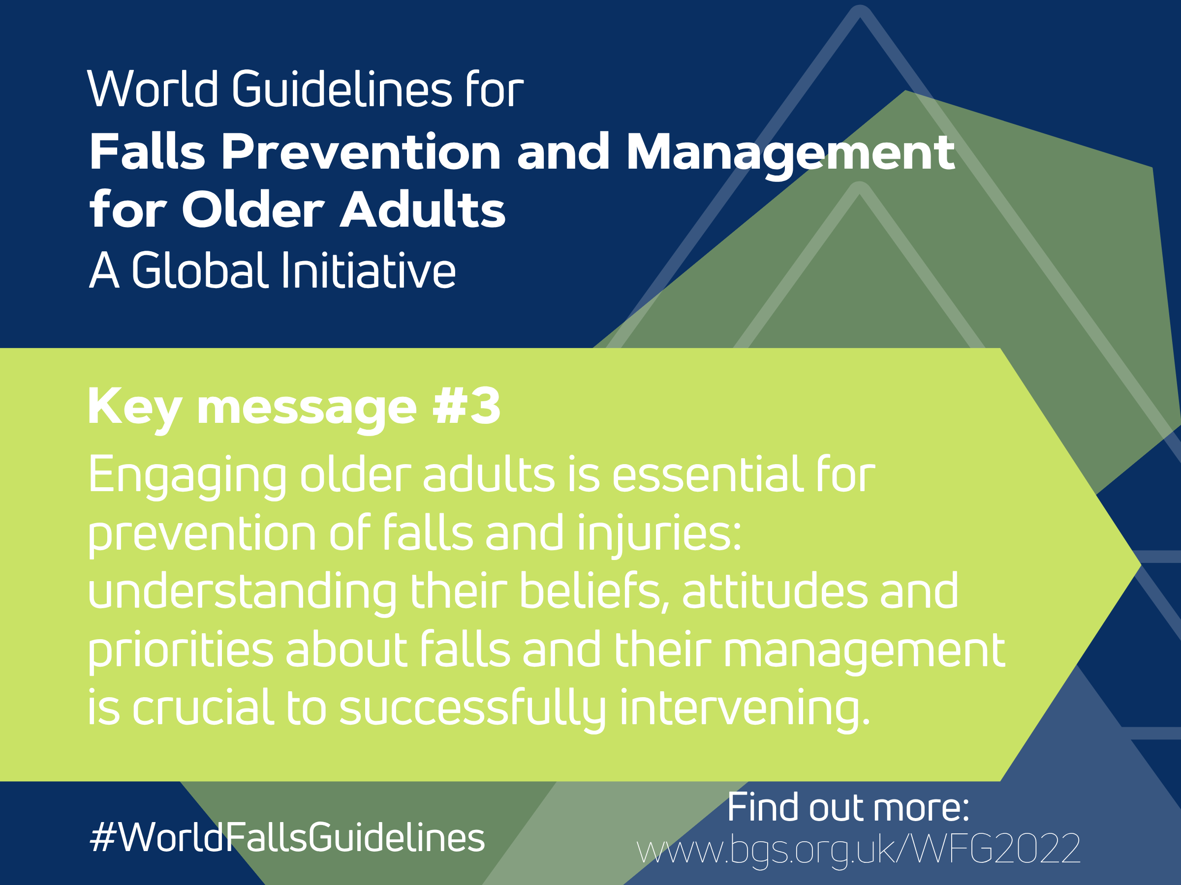 World Guidelines for Falls Prevention and Management for Older Adults: A Global Initiative