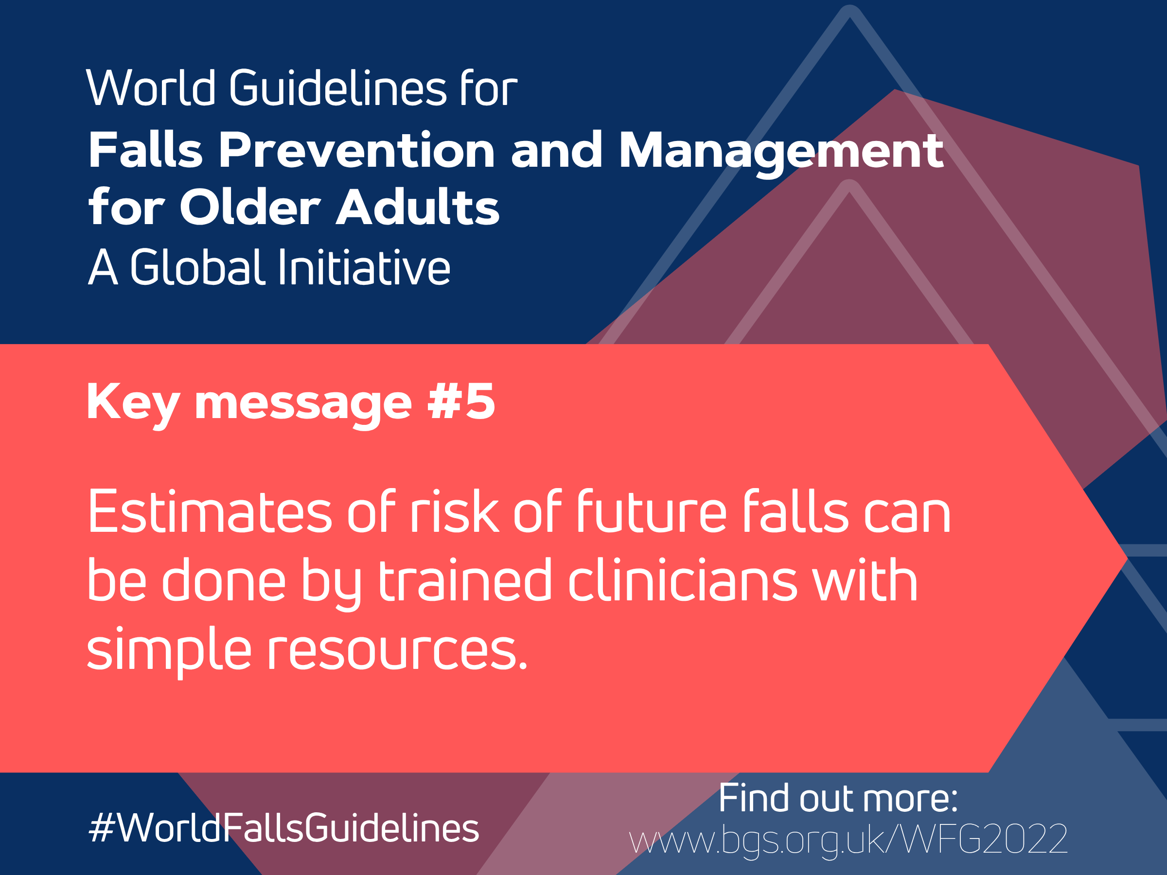World Guidelines for Falls Prevention and Management for Older Adults: A Global Initiative