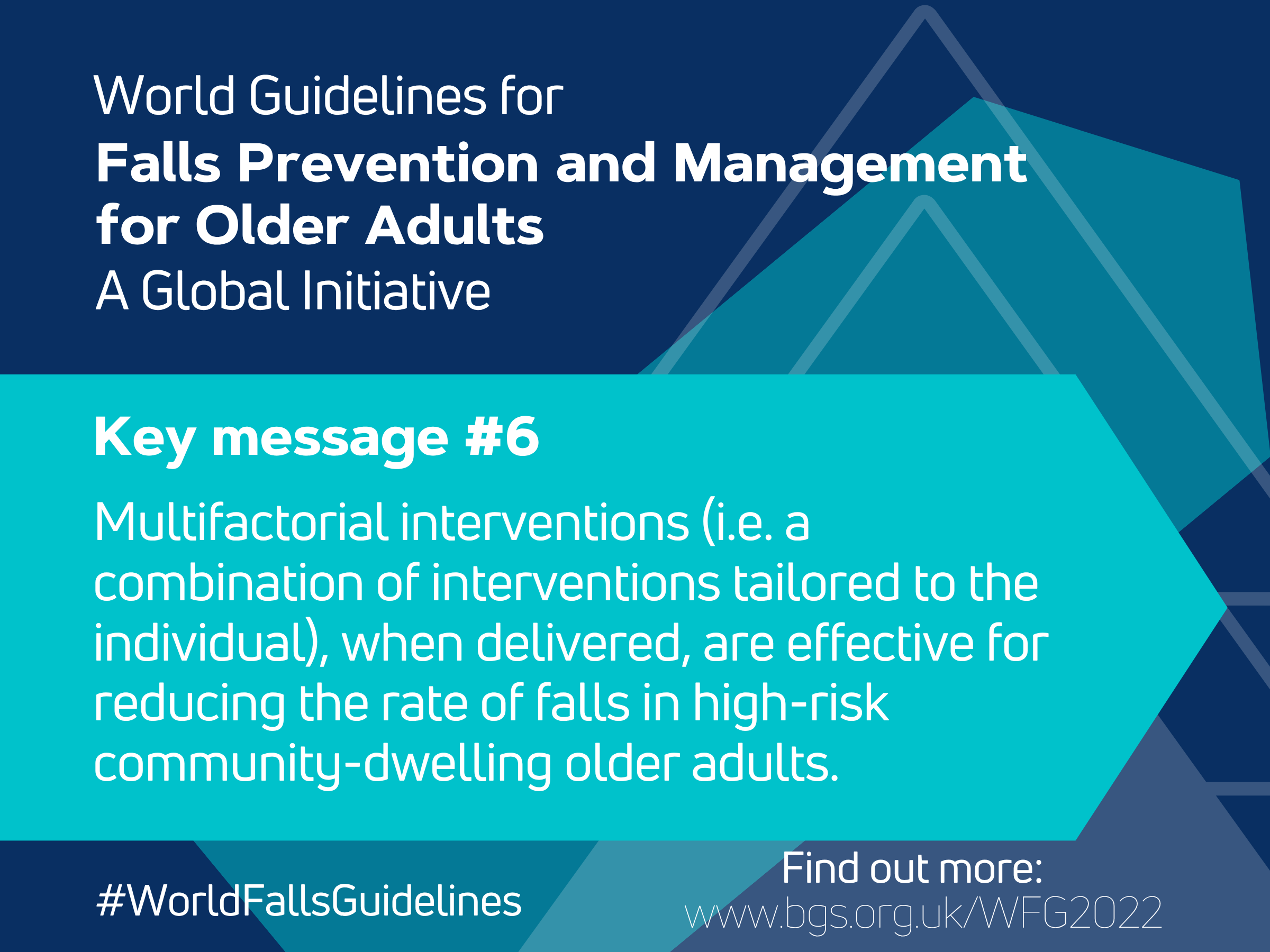 World Guidelines for Falls Prevention and Management for Older Adults: A Global Initiative