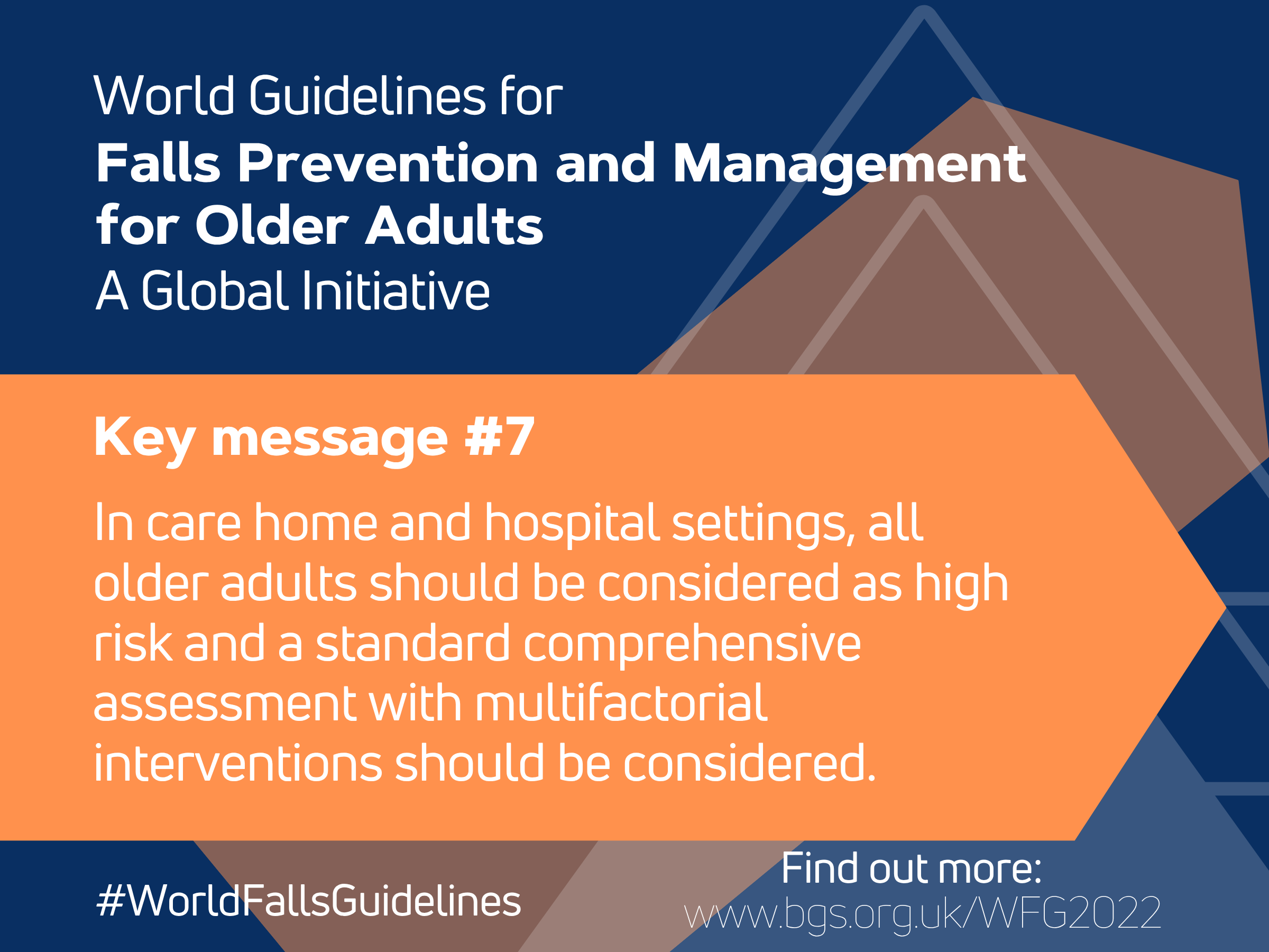 World Guidelines for Falls Prevention and Management for Older Adults: A Global Initiative