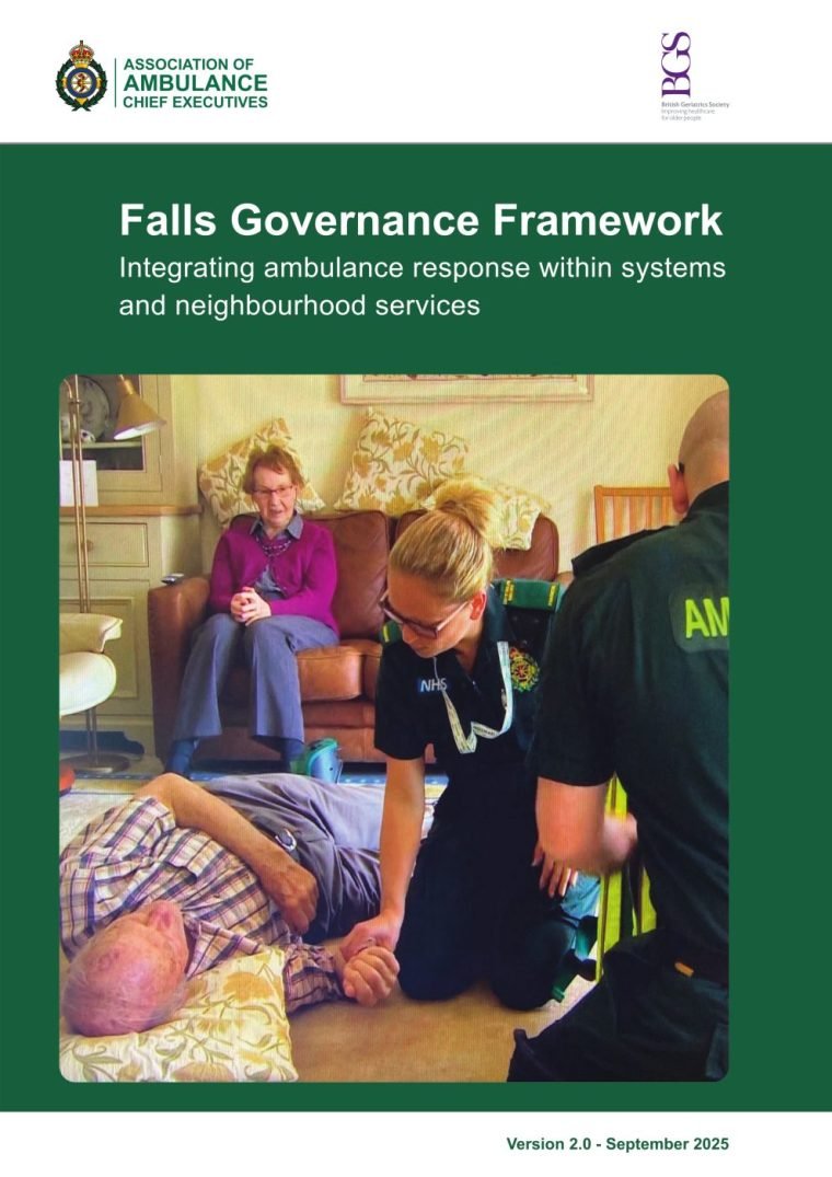 Falls Governance Framework