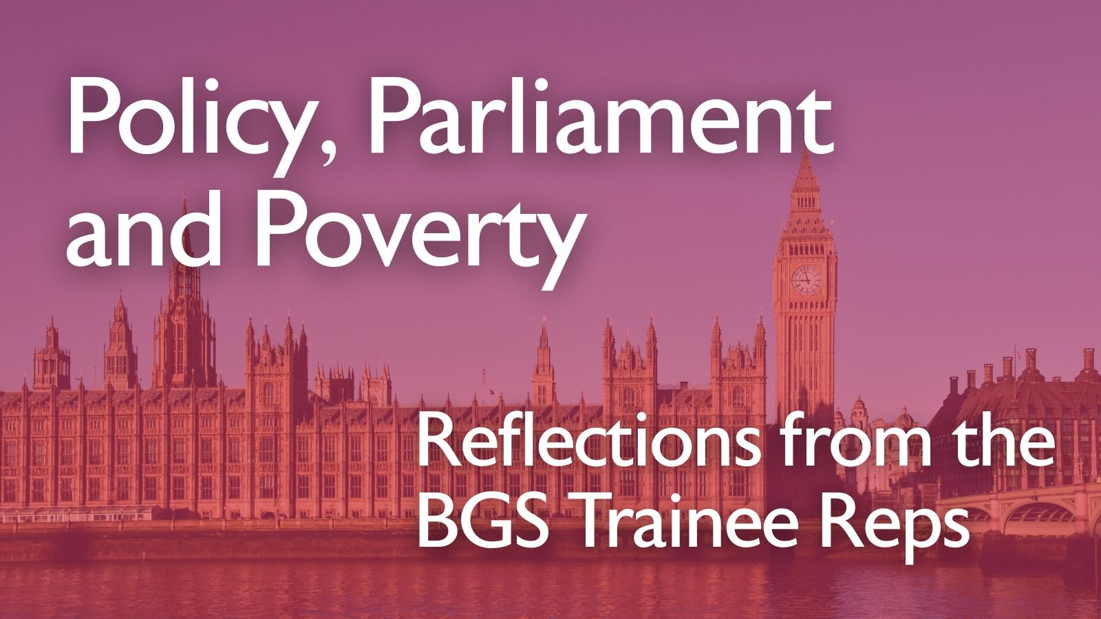 Policy Parliament Poverty
