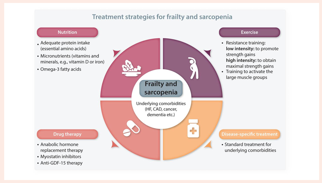 Sarcopenia treatments