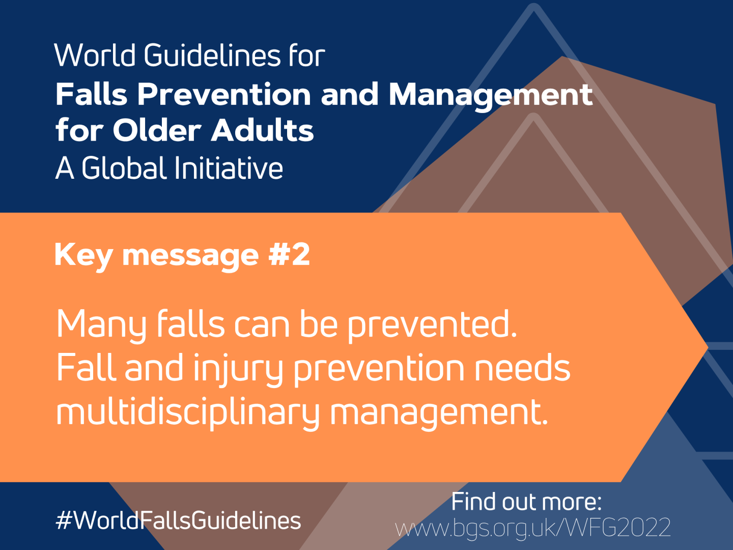 World Guidelines for Falls Prevention and Management for Older Adults: A Global Initiative
