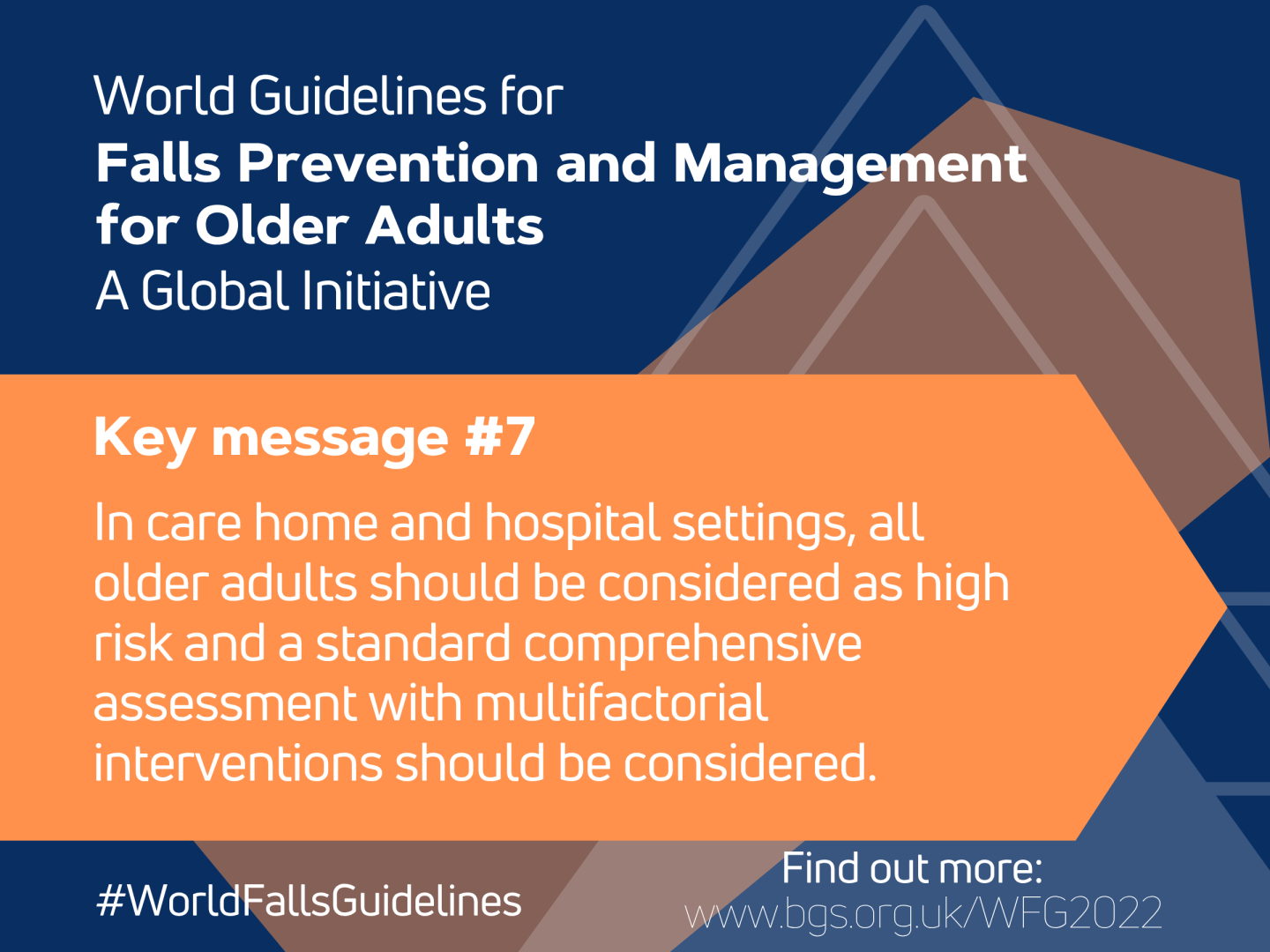 World Guidelines for Falls Prevention and Management for Older Adults: A Global Initiative