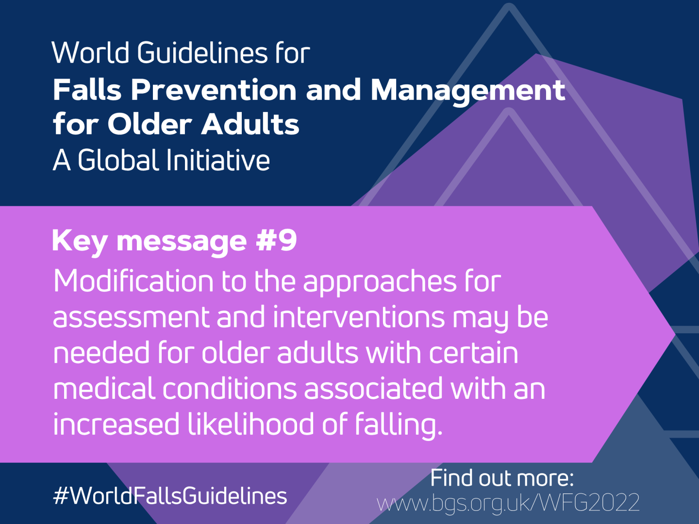 World Guidelines for Falls Prevention and Management for Older Adults: A Global Initiative