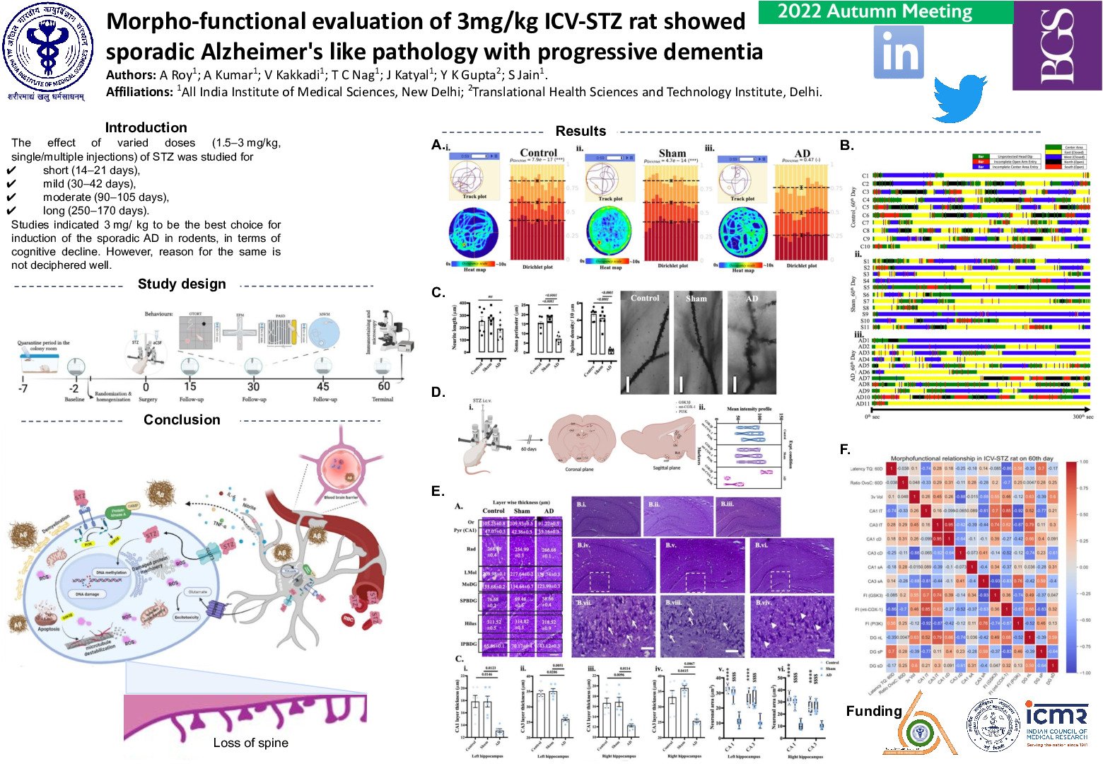 Morpho-functional evaluation of 3mg/kg ICV-STZ rat showed sporadic