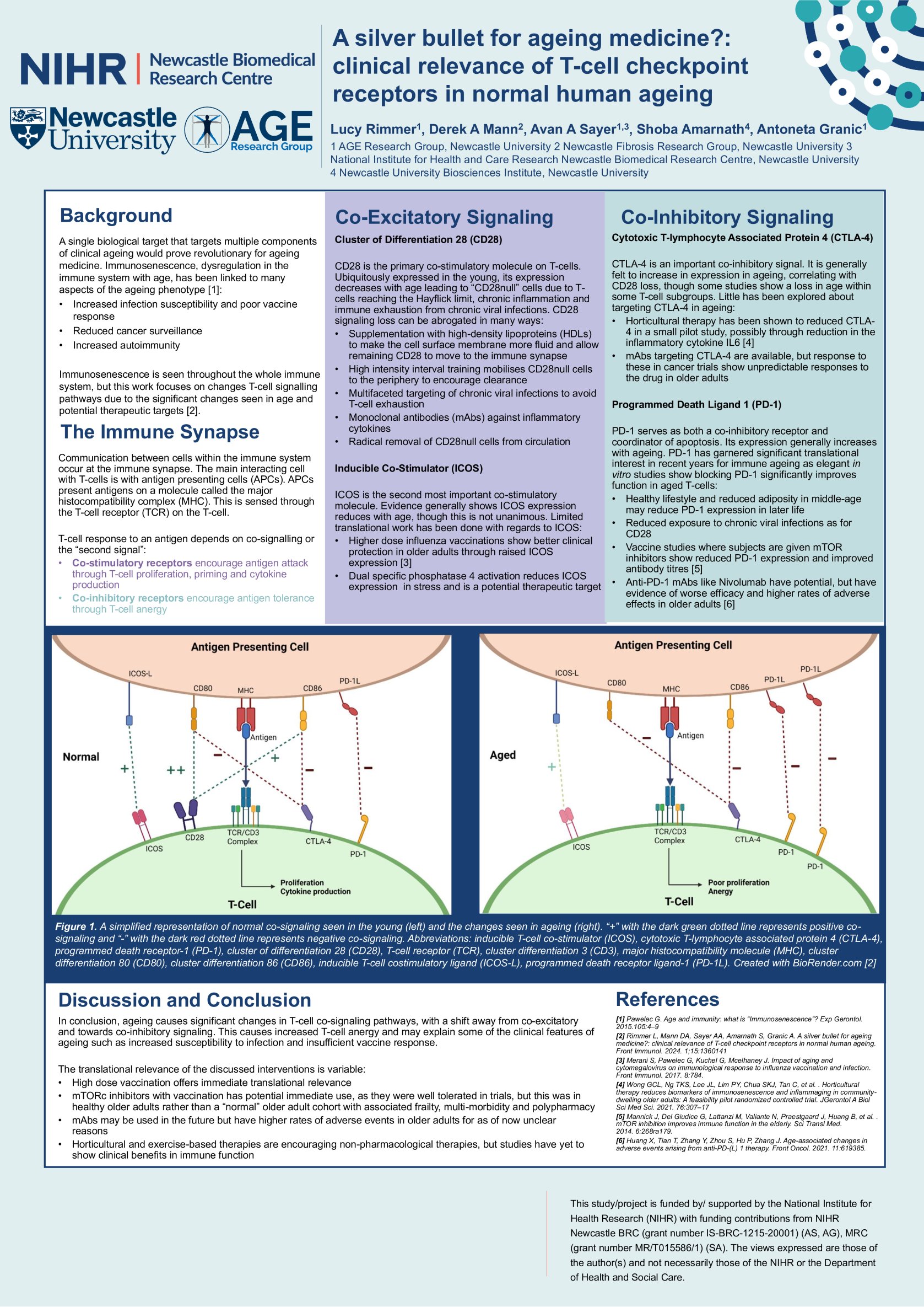 T-Cell Co-Signaling in Normal Human Ageing – A Silver Bullet for Ageing? poster preview image