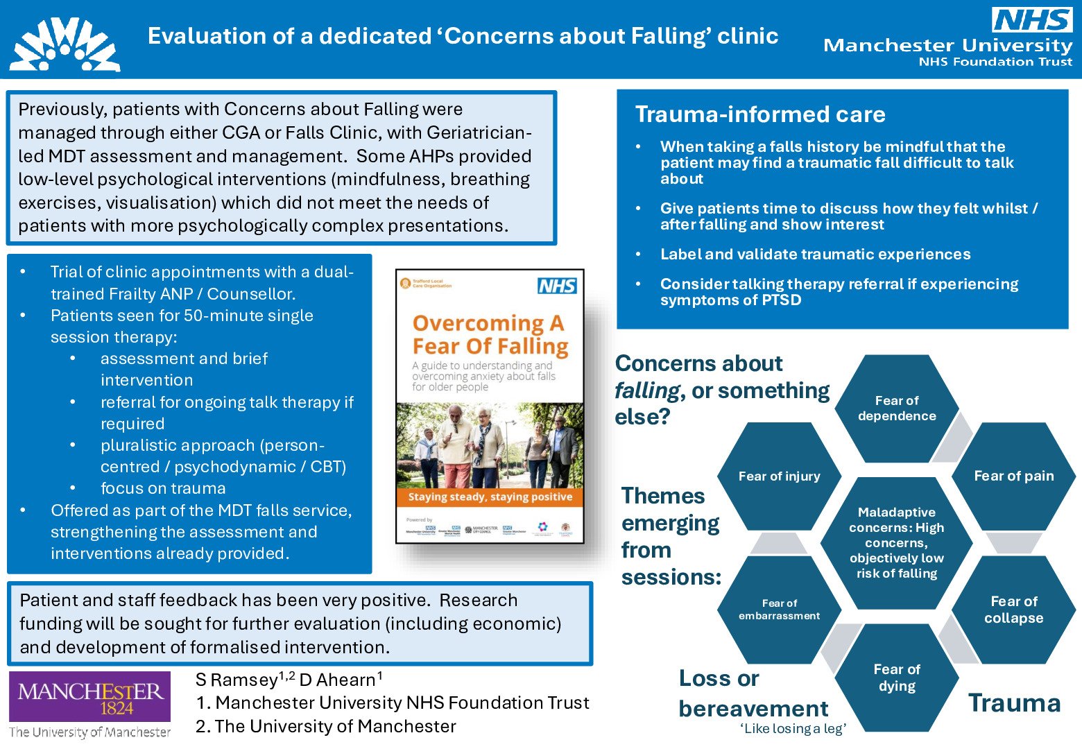 Evaluation of a dedicated 'Concerns about Falling' clinic poster preview image