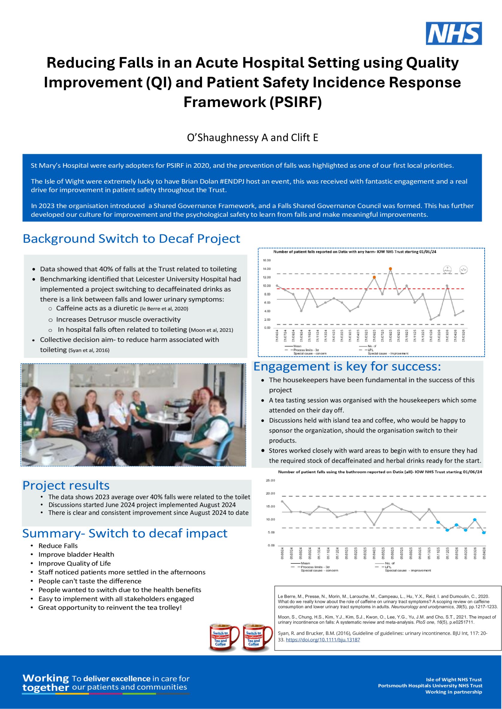 Reducing Falls in an Acute Hospital Setting using Quality Improvement (QI) and Patient Safety Incidence Response Framework (PSIRF) poster preview image