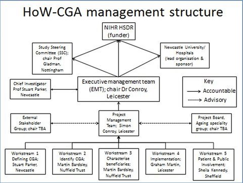 Management Structure Diagram