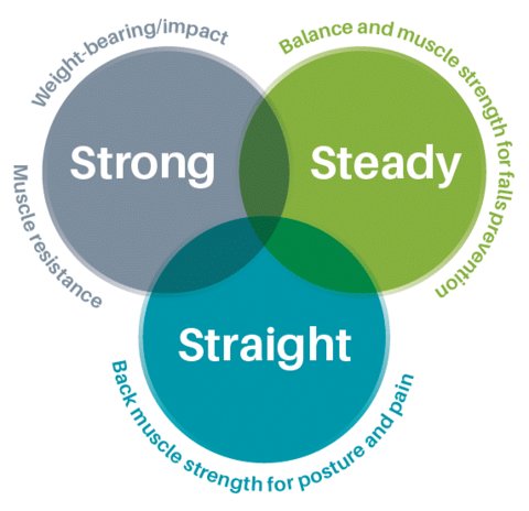 Figure 1: Physical activity and exercise themes – Strong, Steady and Straight