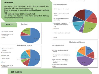 Clinical audit of hip fractures 120-day follow-up poster preview image