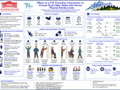 Effects of a Fall Prevention Intervention on Chinese Rural Older Adults with Various Physical Activity Levels poster preview image