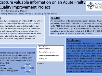 How to capture valuable information on an Acute Frailty Unit- a Quality Improvement Project poster preview image