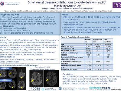 Small vessel disease contributions to acute delirium: a pilot feasibility MRI study  poster preview image