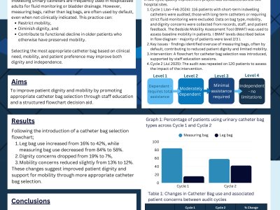 Improving Patient Dignity and Mobility Through Appropriate Urinary Catheter Bag Selection: A Multi-Site QIP poster preview image
