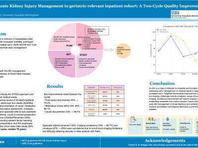 Improving Acute Kidney Injury Management in geriatric-relevant inpatient cohort: A Two-Cycle Quality Improvement poster preview image
