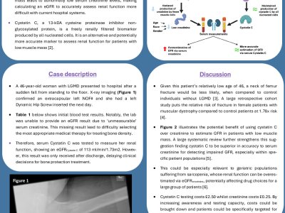 The Future of Assessing Renal Function? - A Case Report Detailing Measurement of Renal Function in a NOF# Patient With LGMD poster preview image