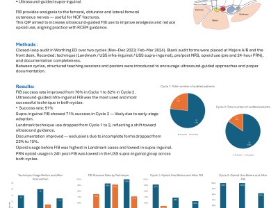 Optimising Perioperative Pain Management in Neck of Femur Fractures: A QIP on Ultrasound-Guided Fascia Iliaca Blocks in the ED poster preview image