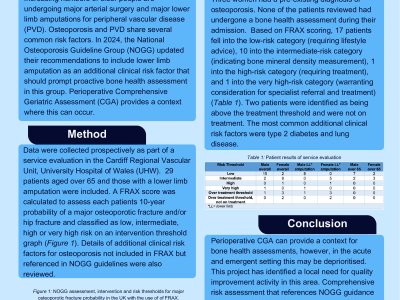 Bone health assessment practices in older patients and patients with a lower limb amputation on a regional vascular surgery ward poster preview image