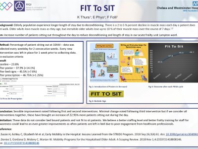 Fit To Sit poster preview image