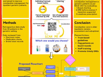 Improving Bowel Assessment and Constipation Management in Hospitalised Elderly Patients: A Quality Improvement Project poster preview image