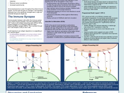 T-Cell Co-Signaling in Normal Human Ageing – A Silver Bullet for Ageing? poster preview image
