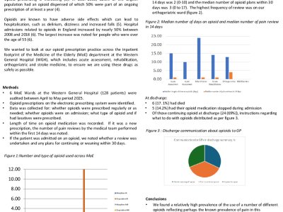 Opioids in the frailer adult: Are we prescribing them safely? poster preview image