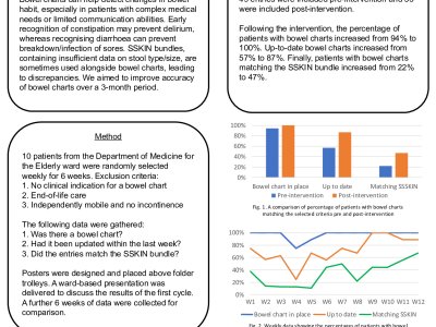 Improving accuracy of bowel charts: a quality improvement project poster preview image