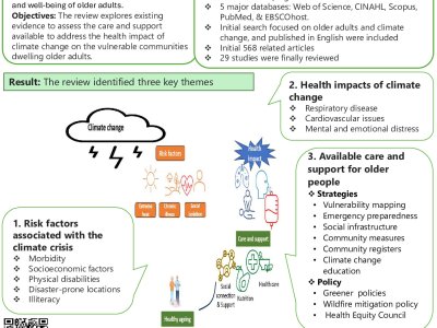 Addressing the Care And Support Needs of Older Adults: Panacea to Healthy Ageing During the Climate Crisis: A Scoping Review poster preview image