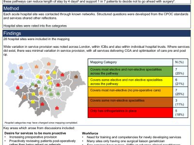 Provision of older people's perioperative care across London poster preview image