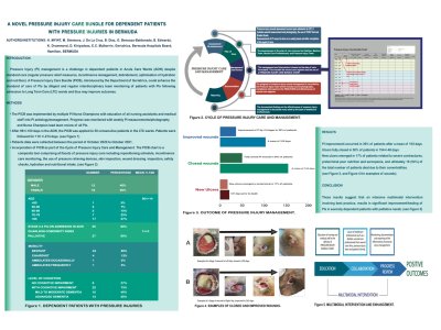 A novel Pressure Injury Care Bundle for dependent patients with pressure injuries in Bermuda.  poster preview image