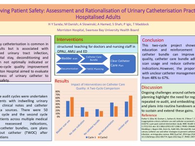  Improving Patient Safety: Assessment and Rationalisation of Urinary Catheterisation Practices in Hospitalised Adults poster preview image