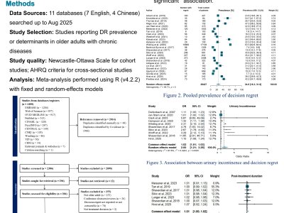 Systematic review and meta-analysis on the prevalence and determinants of decision regret in older people with chronic diseases poster preview image