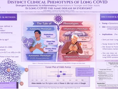 Distinct Clinical Phenotypes of Long COVID: Autonomic vs Inflammatory Presentations in Younger and Older Adults. poster preview image
