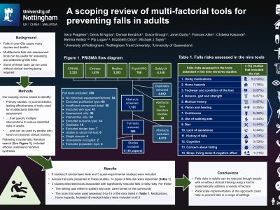 A scoping review of multi-factorial tools for preventing falls in adults poster preview image