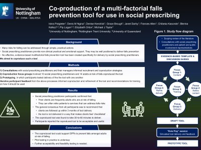Co-production of a multi-factorial falls prevention tool for use in social prescribing poster preview image