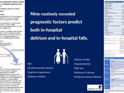 Which prognostic factors predict both in-hospital delirium and falls? An umbrella review of meta-analyses poster preview image
