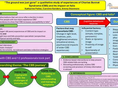 "The ground was just gone": a qualitative study of experiences of Charles Bonnet Syndrome and its impact on falls poster preview image