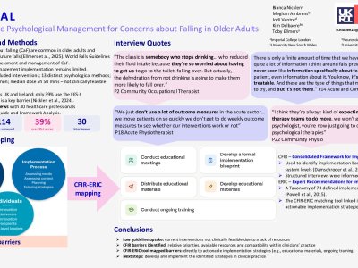 Clinical Management of Concerns About Falling: Gaps, Barriers and Future Directions poster preview image