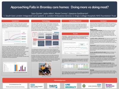Approaching Falls in Bromley care homes:  Doing more vs doing most?  poster preview image