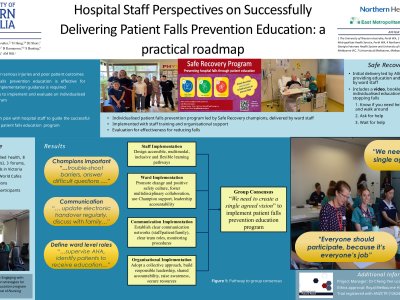 Planning implementation of patient falls preventive education in hospitals: gaining the consumer perspective poster preview image