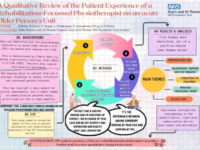 Patient Experience of a Rehabilitation-Focussed Physiotherapist on an acute Older Person’s Unit poster preview image