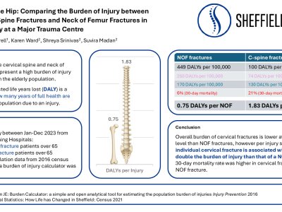 Beyond the Hip: Comparing the Burden of Injury between Cervical Spine Fractures and Neck of Femur Fractures in the Elderly poster preview image