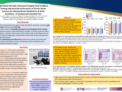 Effects of 8-Week Wearable Ultrasound Visual Feedback Training on Walking Performance and Joint Coordination of Older Adults with Chronic Stroke: A Randomized Controlled Trial  poster preview image