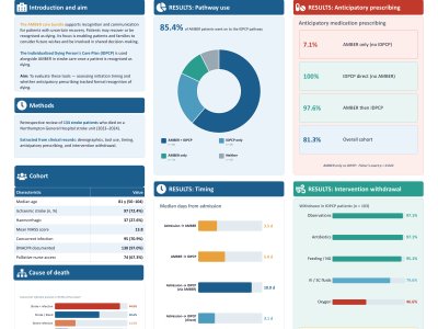 Use of the AMBER care bundle and Individualized Dying Person's Care Plan in hospitalised stroke patients. poster preview image