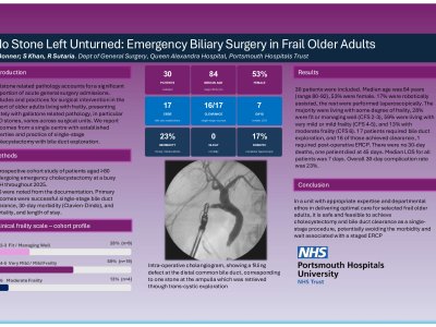 No Stone Left Unturned: Emergency Biliary Surgery in Frail Older Adults  poster preview image